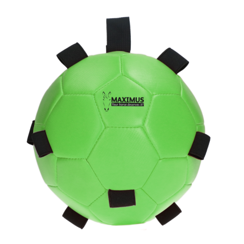 Maximus Fun Play Ball