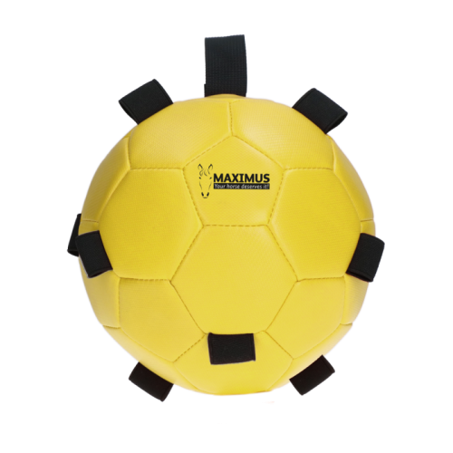Maximus Fun Play Ball