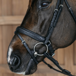 Dyon Plaited Flash Noseband Bridle with Pull back New English Collection