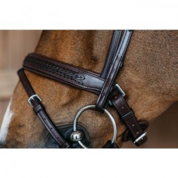 Dyon Plaited Flash Noseband Bridle with Pull back New English Collection