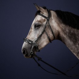 Dyon Hackamore Bridle New English Collection