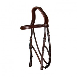 Dyon Hackamore Bridle New English Collection