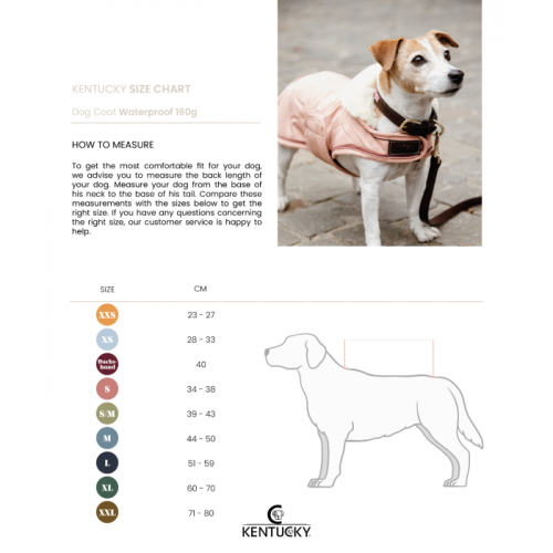 Kentucky Dog Coat Waterproof 160g Dusty Blue