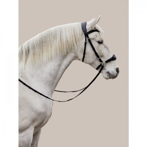 Nalanta Bitless Bridle
