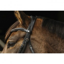 Norton 'Basal' Bridle