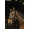 Norton 'Basal' Bridle