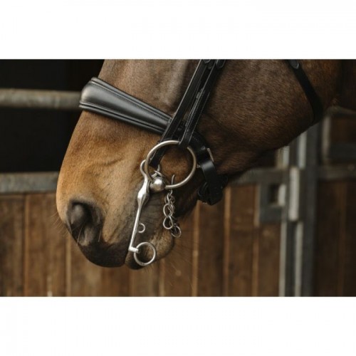 Norton 'Basal' Bridle