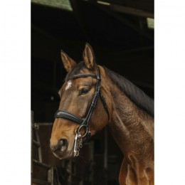 Norton 'Basal' Bridle
