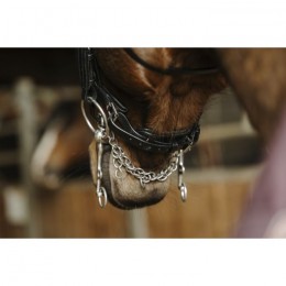 Norton 'Basal' Bridle