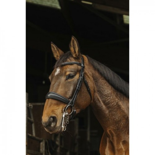 Norton 'Basal' Bridle