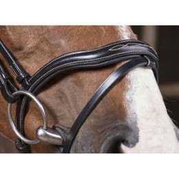 Norton Pro 'Découpé' Bridle