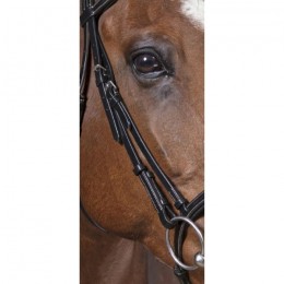 Norton Pro 'Découpé' Bridle