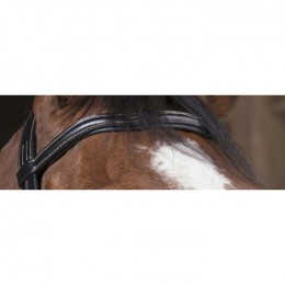 Norton Pro 'Découpé' Bridle