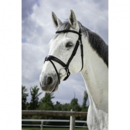 Norton Pro 'Soft' Bridle