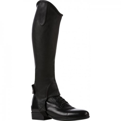 Norton Stretch Grainé Half Chaps