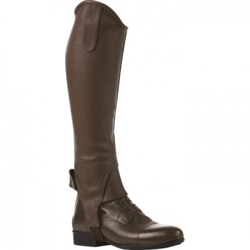 Norton Stretch Grainé Half Chaps