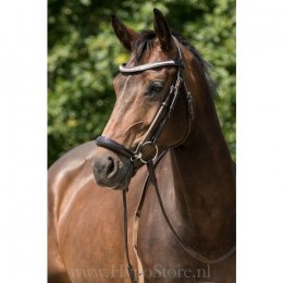 Premiera "Savona" brown bridle with padded drop patent leather noseband and anatomically shaped headpiece, gold buckles