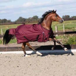 Master Outdoor Rug 600D 100g Fig