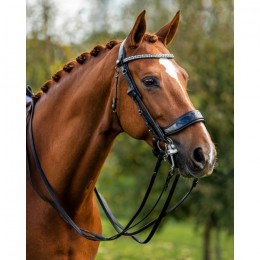PresTeq Weymouth Bridle FayPerform Shine