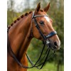 PresTeq Rein FayRein weymouth