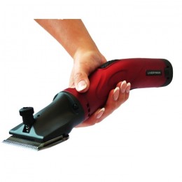 Liveryman Phoenix Clipper