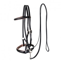 F.R.A. Bitless Sidepull bridle Pardoes de Luxe