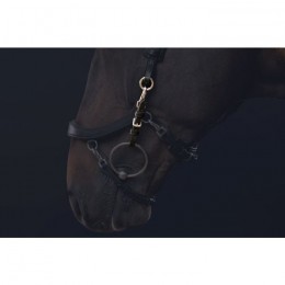 PresTeq Bridle FaySport