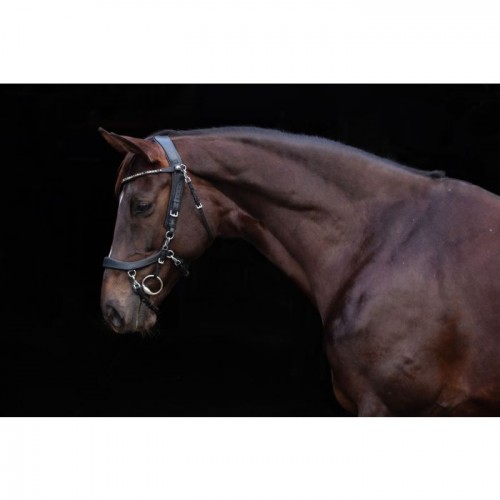 PresTeq FaySport Throat latch