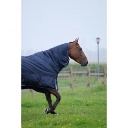 Equithème PRO series 'Tyrex 168D' Turnout Rug 220g