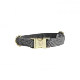 Kentucky Dog Collar Wool
