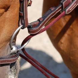 Dyon Leather/nylon draw reins