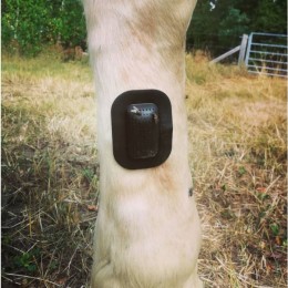 Rheva Kombo Wound Protection