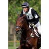 Flair Equine Nasal strips