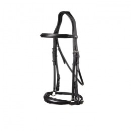 Trust Rome bridle dropped noseband