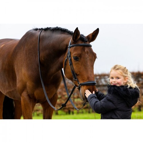 Trust Rome bridle dropped noseband