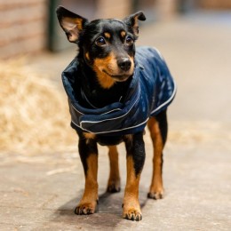 Horseware Signature Dog Rug