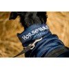 Horseware Signature Dog Rug