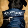 Horseware Signature Dog Rug