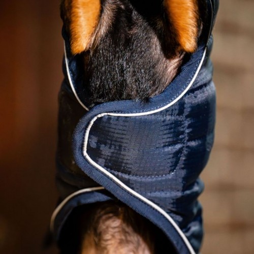 Horseware Signature Dog Rug