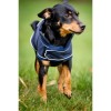 Horseware Signature Dog Rain Coat
