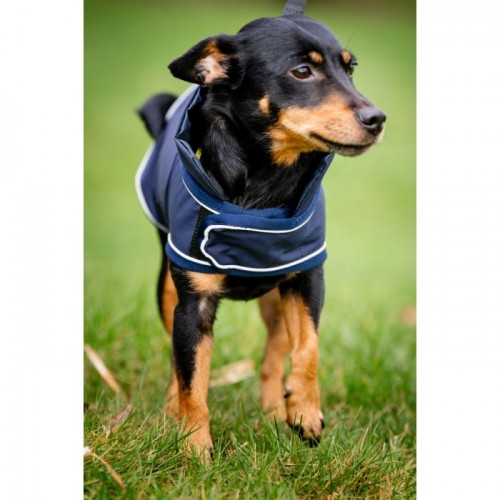 Horseware Signature Dog Rain Coat