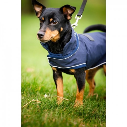 Horseware Signature Dog Rain Coat