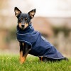 Horseware Signature Dog Rain Coat