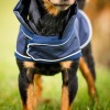 Horseware Signature Dog Rain Coat