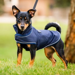 Horseware Signature Dog Rain Coat