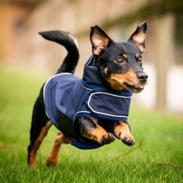 Horseware Signature Dog Rain Coat