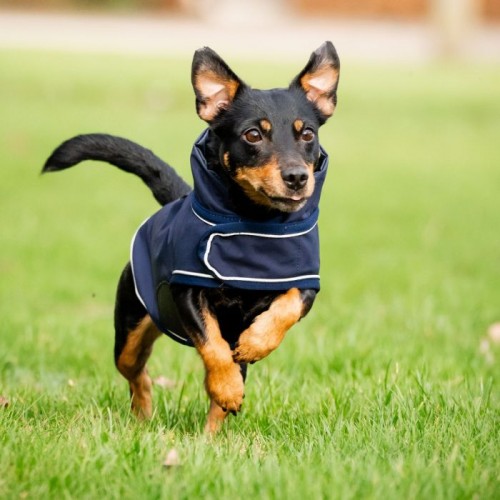 Horseware Signature Dog Rain Coat