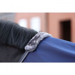 Bucas Show-Line Competition Cooler