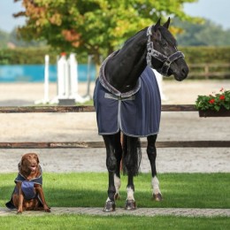 Bucas Show-Line Dog Rug