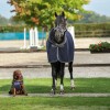 Bucas Show-Line Dog Rug